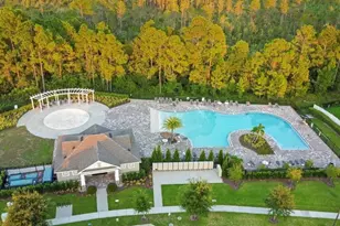 11187 Hanlon Ter Aly, Winter Garden, FL 34787 - Photo 4