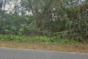 11119 Bessie Dix Rd, Seffner, FL 33584 - Photo 1