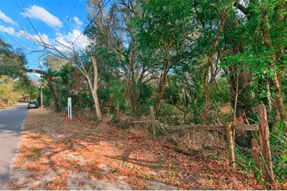 11119 Bessie Dix Road, Seffner, FL 33584 - Photo 4