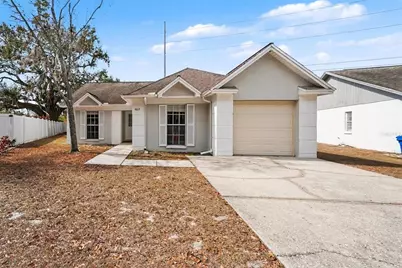 4617 Cabbage Palm Drive, Valrico, FL 33596 - Photo 1