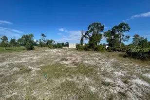 3621 NW 47th Ln, Cape Coral, FL 33993 - Photo 4