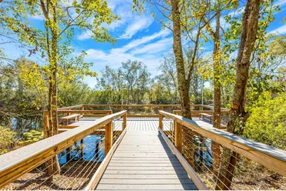 16434 Winding Blossom Drive, Groveland, FL 34736 - Photo 30