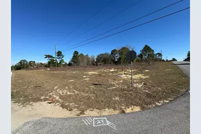 2595 W Chamberlain Street, Citrus Springs, FL 34434 - Photo 4