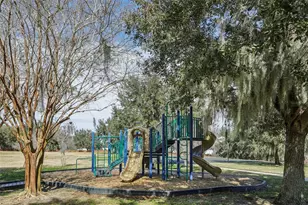 3207 Zander Dr, Grand Island, FL 32735 - Photo 28