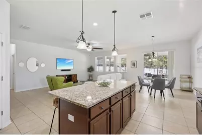 3207 Zander Drive, Grand Island, FL 32735 - Photo 8