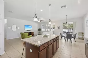 3207 Zander Dr, Grand Island, FL 32735 - Photo 8