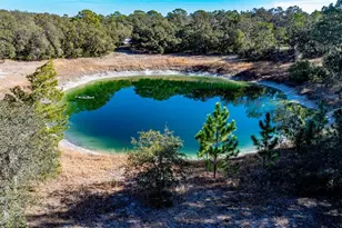 13615 Tyrone St, Hudson, FL 34667 - Photo 4