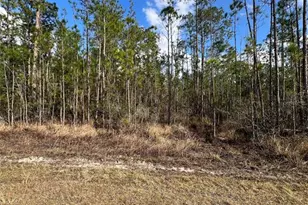 6660 Balboa Blvd, Sebring, FL 33872 - Photo 2