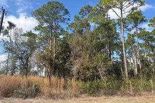 3214 Sr-66, Sebring, FL 33875 - Photo 2