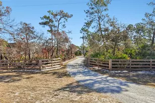 2537 Buck Knife Ct, Chuluota, FL 32766 - Photo 38