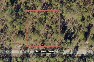 24309 NW Banyan Ln, Dunnellon, FL 34431 - Photo 1