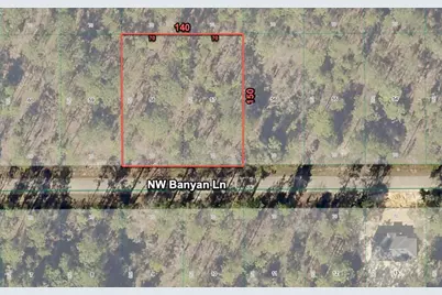 24309 NW Banyan Lane, Dunnellon, FL 34431 - Photo 4