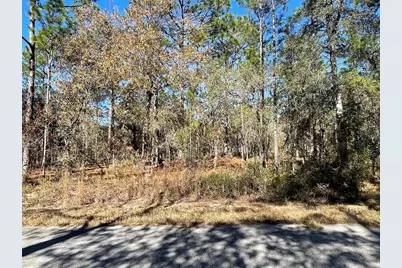 24309 NW Banyan Lane, Dunnellon, FL 34431 - Photo 6