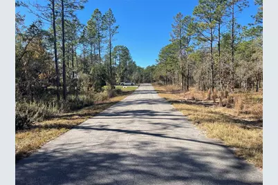 24309 NW Banyan Lane, Dunnellon, FL 34431 - Photo 4