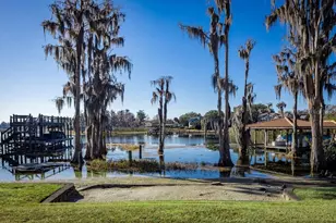 12540 Park Ave, Windermere, FL 34786 - Photo 44