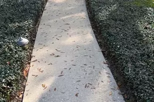 110 Stone Post Rd, Longwood, FL 32779 - Photo 32