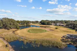 5039 Greenbriar Trail, Mount Dora, FL 32757 - Photo 48