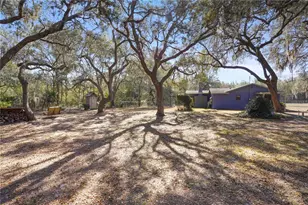 10745 SE 188th Ct, Ocklawaha, FL 32179 - Photo 44