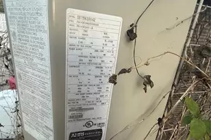 10616 Godfrey Ln, Orlando, FL 32825 - Photo 12