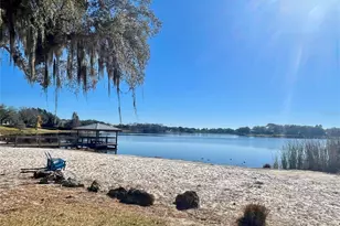 5019 Blue Major Dr, Windermere, FL 34786 - Photo 18