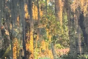 7718 Flemingwood Ct, Sanford, FL 32771 - Photo 78