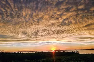 900 E Marion Ave, Punta Gorda, FL 33950 - Photo 82