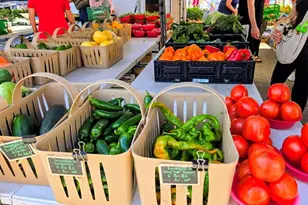 900 E Marion Ave, Punta Gorda, FL 33950 - Photo 70