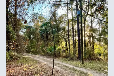 248 Cumberland Lane, Interlachen, FL 32148 - Photo 10