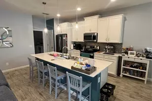 887 Lady Bird Ln, Orange City, FL 32763 - Photo 2