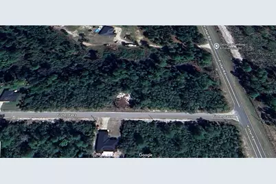 Fisher Pass, Ocklawaha, FL 32179 - Photo 2
