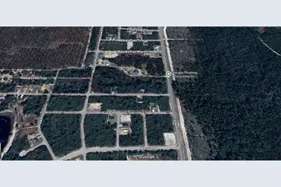 Fisher Pass, Ocklawaha, FL 32179 - Photo 4