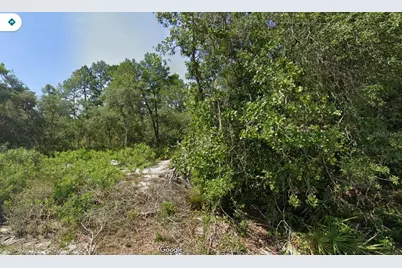 Fisher Pass, Ocklawaha, FL 32179 - Photo 1
