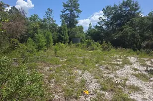 45560 Georgia St, Paisley, FL 32767 - Photo 2