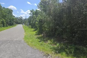 45560 Georgia St, Paisley, FL 32767 - Photo 4