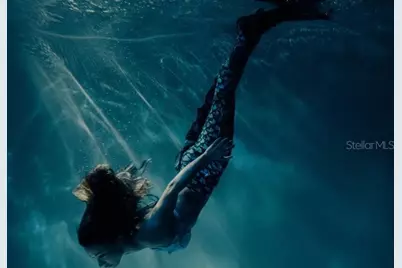 16314 Frost Bird Road, Weeki Wachee, FL 34614 - Photo 28