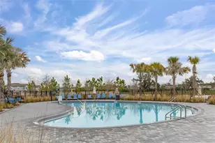 2316 E Newsome Rd, Plant City, FL 33565 - Photo 46