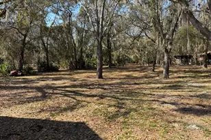 3450 Clark Rd, Saint Cloud, FL 34772 - Photo 6