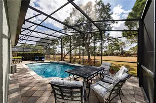 14310 Sports Club Way, Orlando, FL 32837 - Photo 28