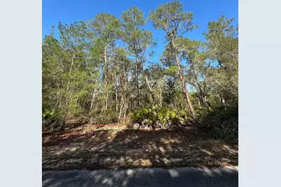[Address not provided], Ocklawaha, FL 32179 - Photo 1