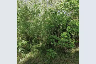 Ne 132nd Avenue, Silver Springs, FL 34488 - Photo 1