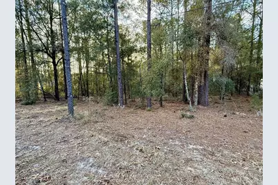 Sw 205th Circle, Dunnellon, FL 34431 - Photo 1