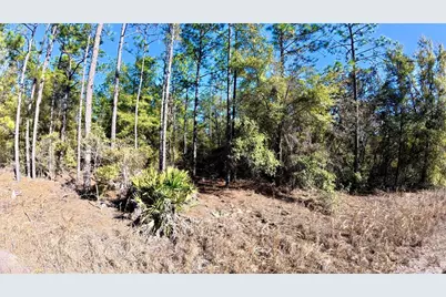 Southwest 38th Place, Ocala, FL 34481 - Photo 1