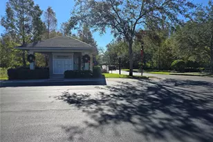 10114 Westpark Preserve Blvd, Tampa, FL 33625 - Photo 42