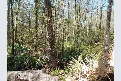 1026 Buist Street, Orlando, FL 32828 - Photo 10