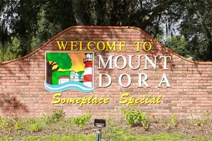 6136 Dora Dr, Mount Dora, FL 32757 - Photo 44