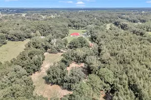 14742 SW 4th Ave, Ocala, FL 34473 - Photo 60