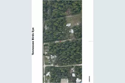Tennessee Street, Paisley, FL 32767 - Photo 2