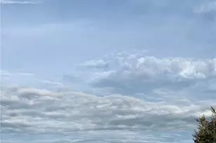 1550 11th St NE, Winter Haven, FL 33881 - Photo 4