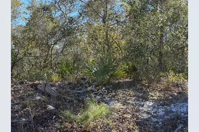 McBride Avenue, Deltona, FL 32725 - Photo 2