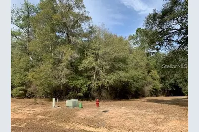 167 Sparkleberry Boulevard, Quincy, FL 32351 - Photo 1